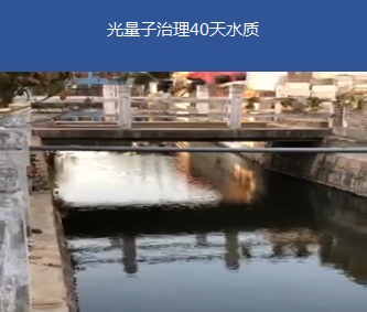 藍(lán)藻治理-蘇州震澤某河道治理項(xiàng)目